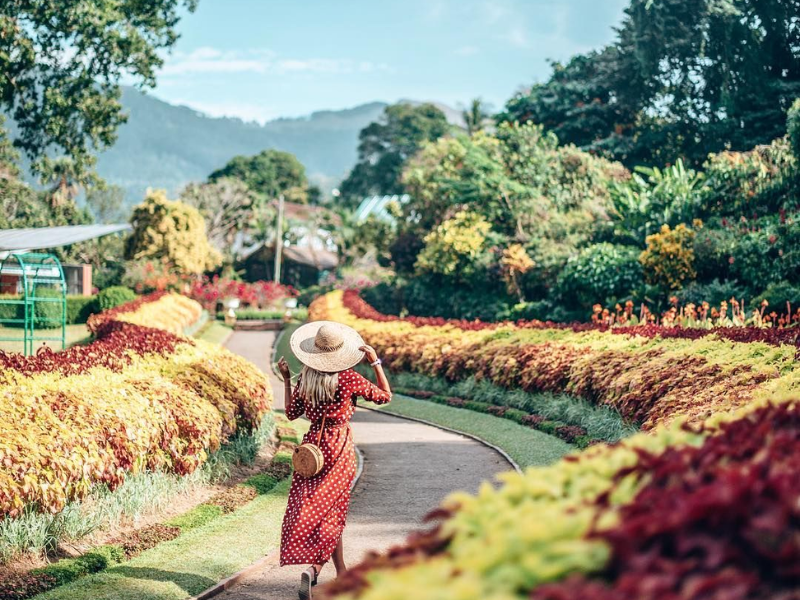 Day 02: Kandy – Nuwara Eliya